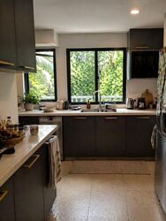 Adam Park Condominium (D11), Condominium #574243341